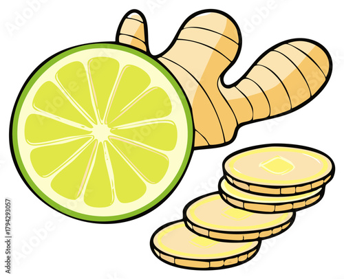 Lime slice with ginger root and sliced ginger illustration, healthy ingredients
