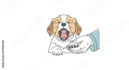 Puppy yawning during checkup with vet hand assisting  