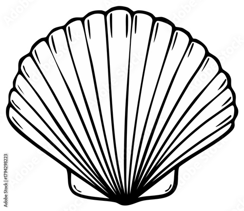 Stylized black and white line drawing of a scallop seashell with radiating lines