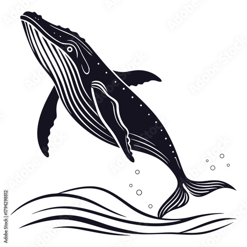 Humpback whale breaching silhouette, isolated black and white vector illustration of jumping sea mammal