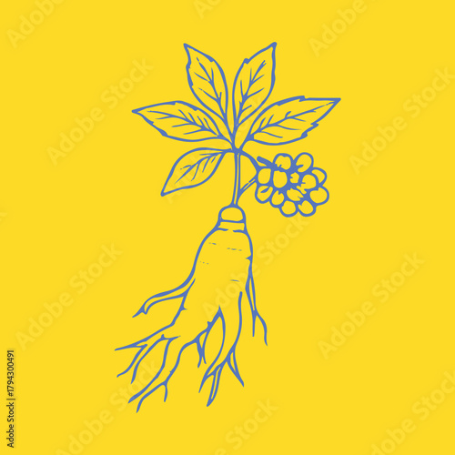 Botanical-style drawings of healing plants