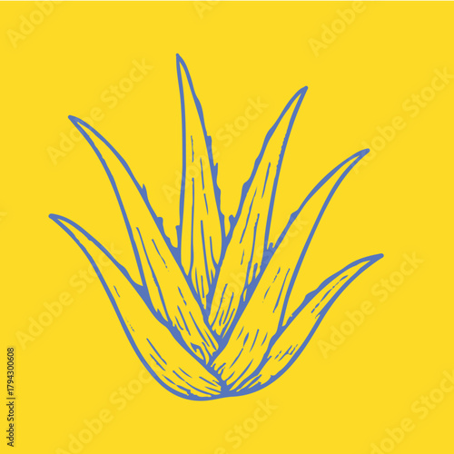 Botanical-style drawings of healing plants