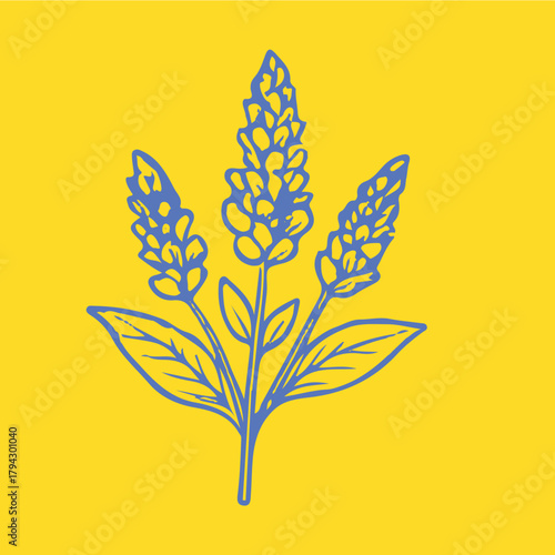 Botanical-style drawings of healing plants