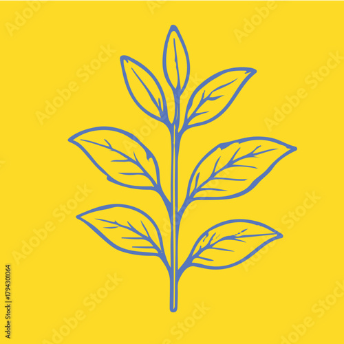 Botanical-style drawings of healing plants