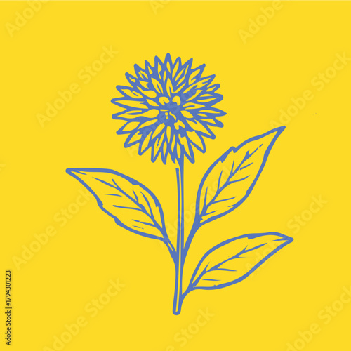 Botanical-style drawings of healing plants