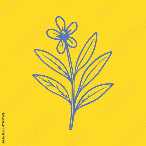 Botanical-style drawings of healing plants