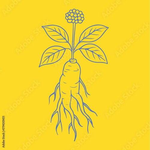 Botanical-style drawings of healing plants