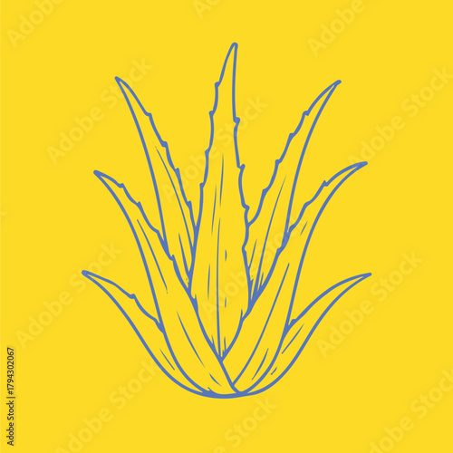 Botanical-style drawings of healing plants