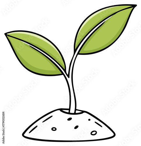 Illustration of a young plant sprout emerging from soil with green leaves