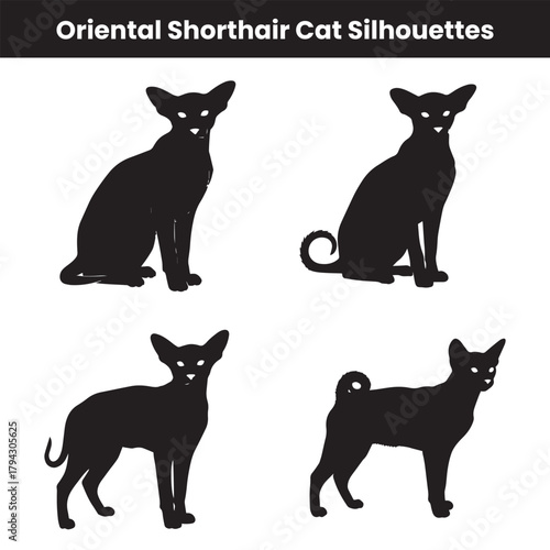 Oriental Shorthair Cat Silhouettes