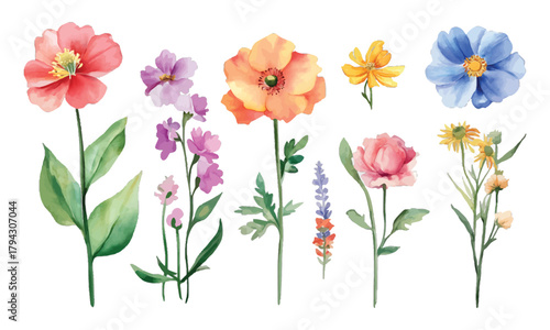 Watercolor floral arrangement for creative design, transparent background, vector, illustration