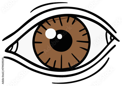Simple cartoon illustration of a wide open brown human eye looking forward