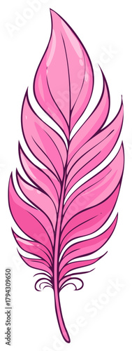 Vibrant pink feather illustration with delicate lines and soft shading