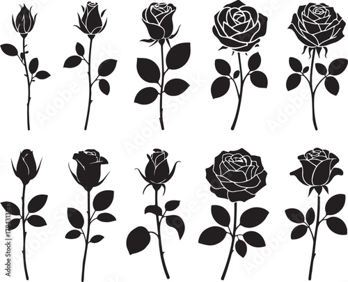 Elegant rose silhouettes collection in vector format with various stages of bloom and leaf arrangements about one hundred thirty character