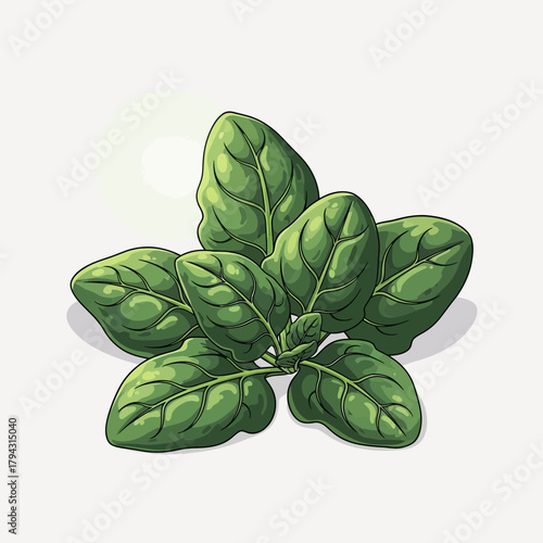 Vibrant Spinach Bunch Illustration with Detailed Veins and Freshness
