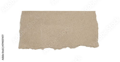 Wallpaper Mural Torn kraft paper piece isolated on white background, ripped brown cardboard texture for crafts, scrapbooking, journaling, packaging design Torontodigital.ca