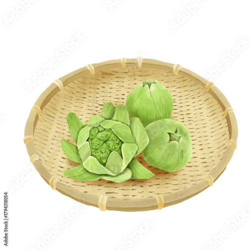 竹ザルの上の水彩風リアルなふきのとうのセット　手描き