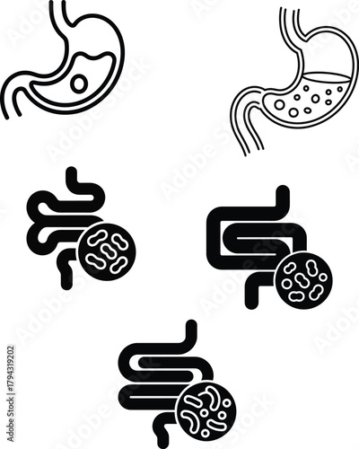 Digestive Vector Featuring Stomach Digestion With Gut Health Gastrointestinal Tract For Abdominal Pain Intestine Colon And Bowel
