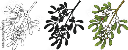 Hand drawn mistletoe branch in different styles christmas decoration plant for greeting card and invitation