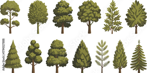 Stylized tree illustration, botanical diversity, coniferous and broadleaf trees, nature design, forest elements, foliage shapes, green blue brown hues, educational landscape art