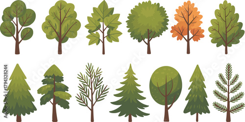Tree illustration set, deciduous trees, coniferous trees, seasonal foliage, stylized forest, botanical diversity, evergreen species, autumn leaves, nature icons, educational design