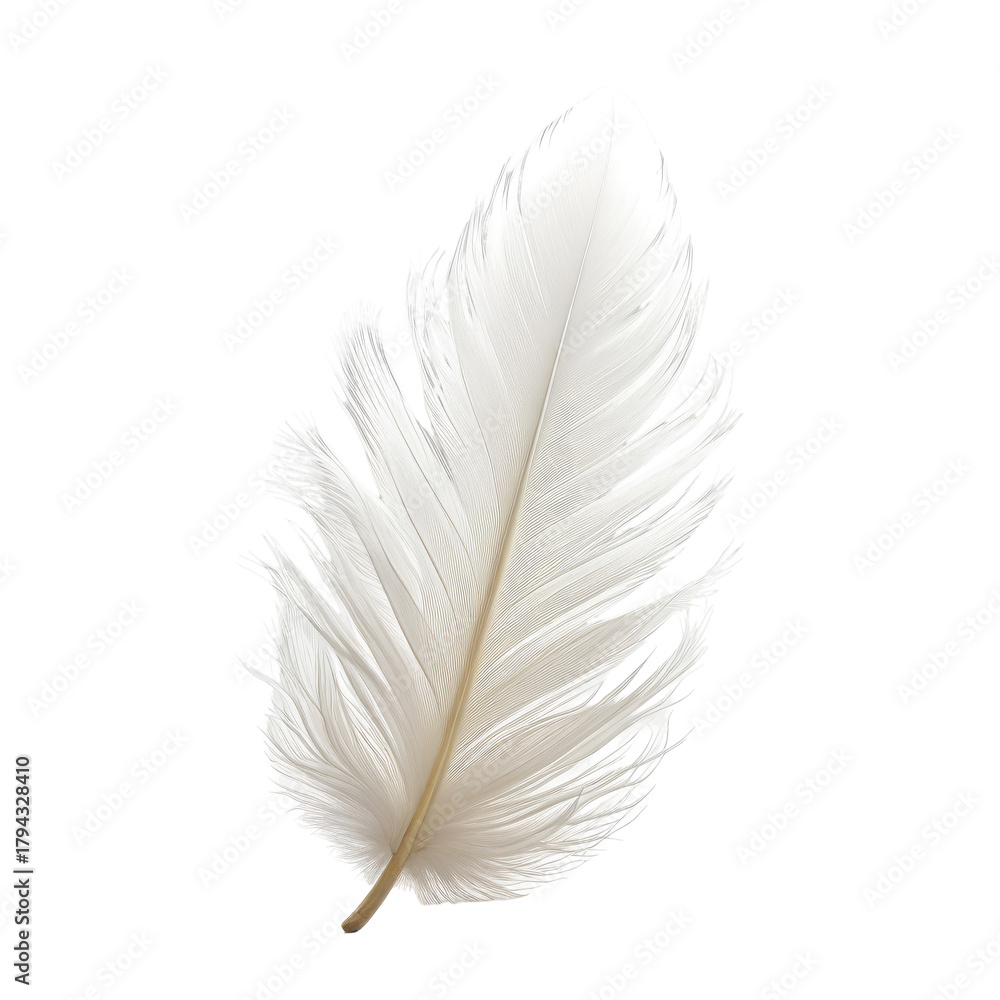 Fototapeta premium Detailed closeup of a soft, white feather on a solid black backdrop