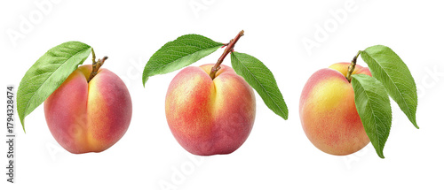 Three ripe peaches with vibrant colors and fresh green leaves arranged neatly, set against a clean background, ideal for use in food-related contexts or culinary presentations