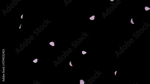 Cherry Blossom Transition Alpha Wipe