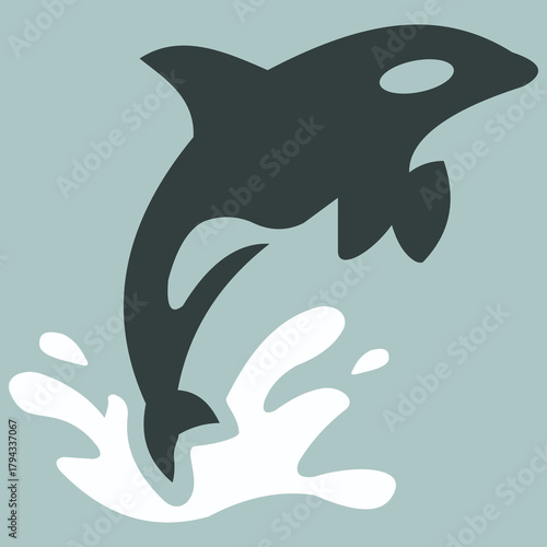 Dynamic Orca Jump, Killer Whale Leaping Through Ocean Splash