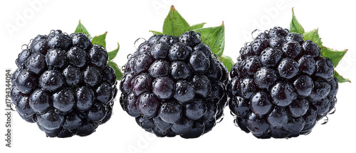 A close-up view of fresh, ripe blackberries with droplets of water glistening on their surface, showcasing their rich color and texture against a clean background
