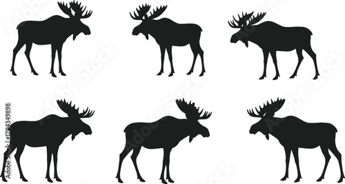 Moose silhouette collection, black animal vector illustration, wildlife forest mammal design, hunting nature profile set, cad drawing flat vector illustration