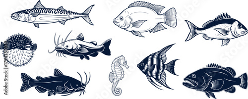 Dive into the Depths with this Charming Collection of Aquatic Creatures, Ranging from the Majestic Mackerel to the Whimsical Seahorse and Striking Angelfish, Perfect for Ocean-Themed Designs