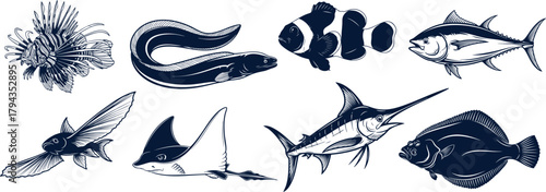 Explore a captivating collection of stylized sea creatures, from the majestic lionfish to the sleek marlin, perfect for ocean lovers and graphic design projects, showcasing marine life in artistic for