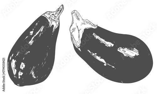 Vintage ink hand drawn eggplants, isolated on white background.