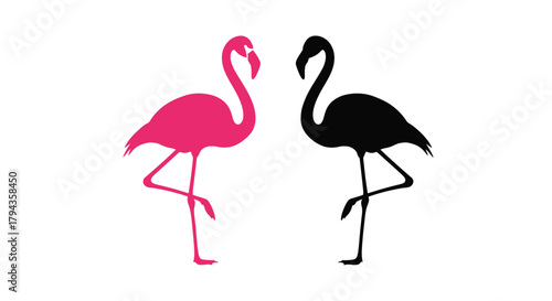 A pair of flamingos one pink and one black in a simple illustration