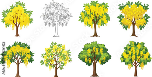 Beautiful golden shower tree vector illustration with yellow blossoms, green leaves, spring botanical branches, tropical floral nature design, decorative artwork collection.