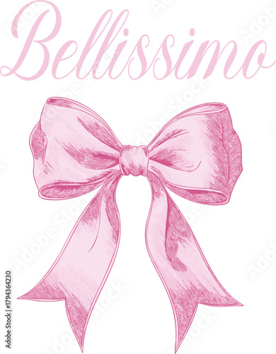 Pink bow plush Bows  satin girly ribbon coquette French Paris Parisian plush romantic girls trending style pink t-shirt design Slogan Logo Graphic Vector Tee shirt apparel print luxe fashion cherry 