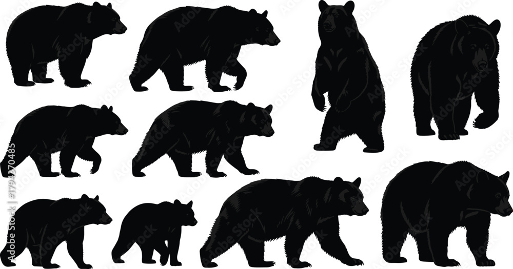 Fototapeta premium Black bear silhouettes in various walking and standing poses including cub with adult, wildlife animal set with detailed dark fur shapes on white background