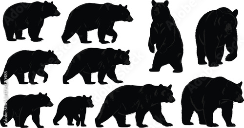 Black bear silhouettes in various walking and standing poses including cub with adult, wildlife animal set with detailed dark fur shapes on white background