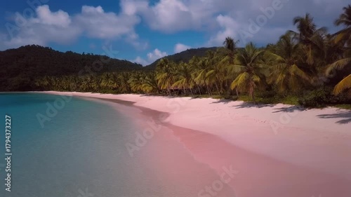 Tropical beach paradise with turquoise water, pink sand, and lush green palm trees lining the shore under a partly cloudy blue sky.