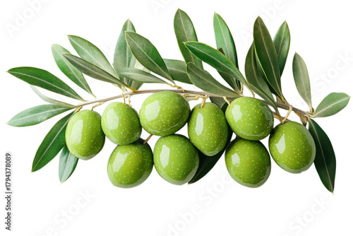 Green Olives On Branch With Leaves Agriculture Food Olive Oil Healthy Eating Fresh Produce