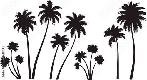 Black palm trees against white background silhouette