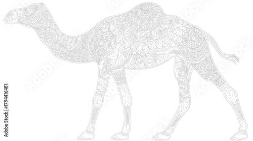 Detailed white dromedary camel vector illustration with intricate ornamental pattern, elegant desert animal design.