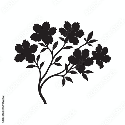 Silhouette of flowering dogwood