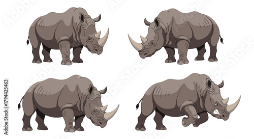 Impressive set of four realistic rhinoceros illustrations, showcasing the powerful safari animal in standing, walking, and charging poses.