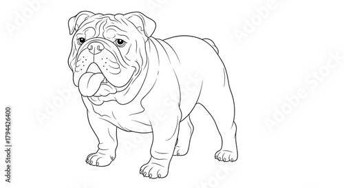 Detailed black and white line art illustration of a standing English Bulldog with its tongue out, perfect for a coloring book.