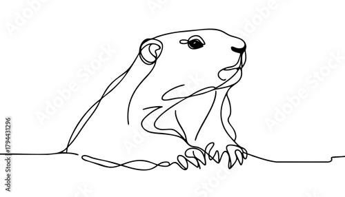 Single line drawing in modern minimalist style of groundhog emerging from burrow on white background with copy space
