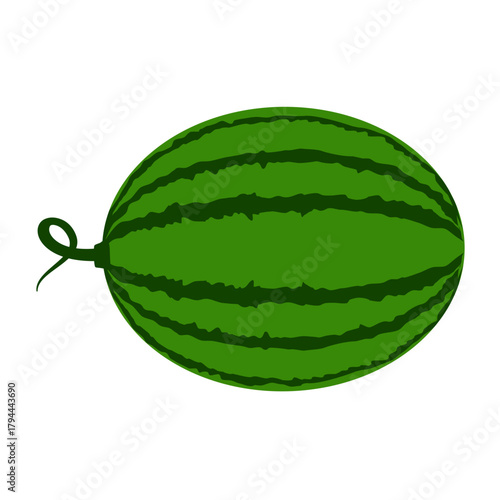 Fresh watermelon illustration evoking summer vibes, perfect for healthy eating campaigns, juice bar menus, or festive picnic designs, originally vector