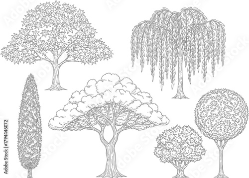Collection of diverse hand drawn black and white tree illustrations in various shapes and sizes
