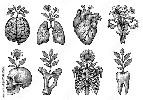 Anatomical organs with floral elements in detailed hand drawn style